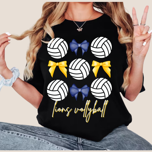 FCA Lion Vollyball